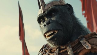 ‘Kingdom of the Planet of the Apes’ Rises to $56.5 Million Box Office Opening